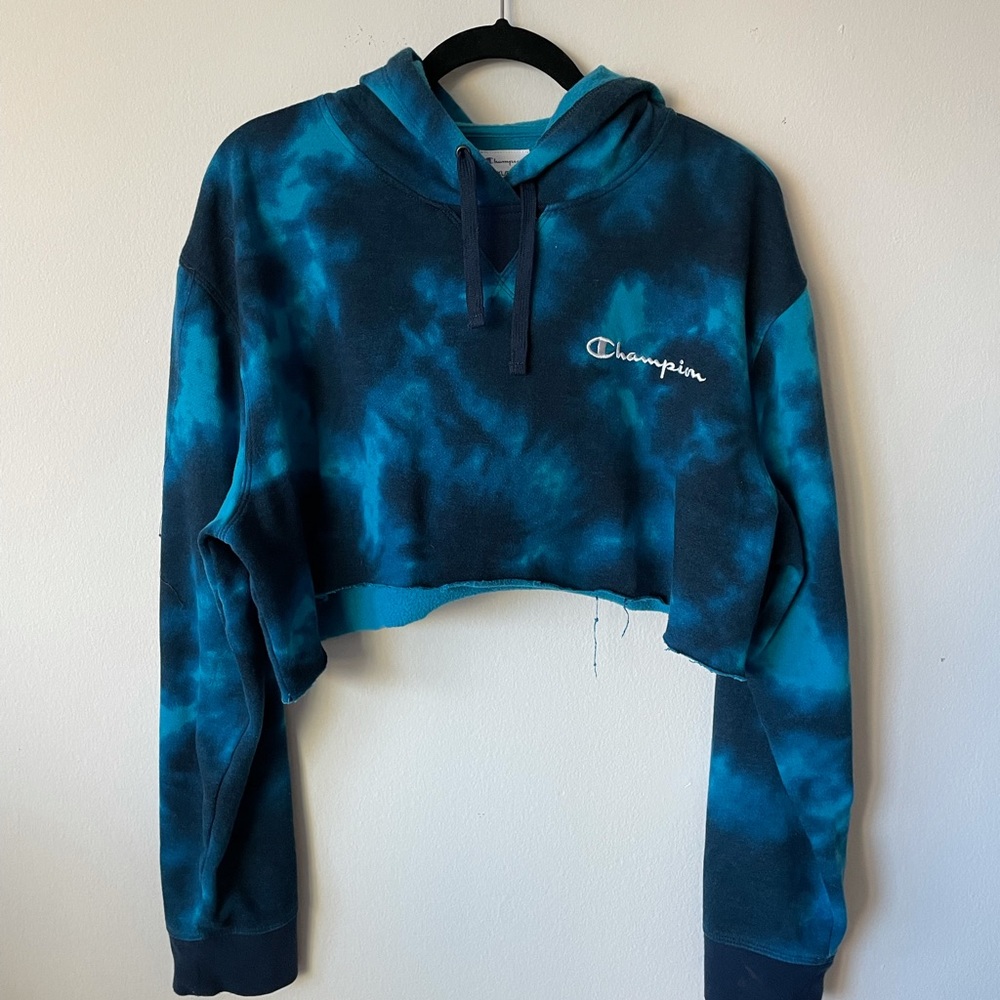 Champion crop top hoodie